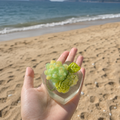 Seafoam Succulent Squishy-HandMade